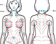 Lymphéa™ Sculpt Brush – Das natürliche Gesichtskonturierungswerkzeug 